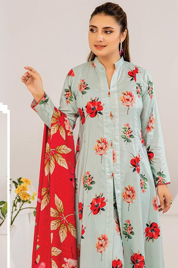 Aangan Printed Linen`24 D#10