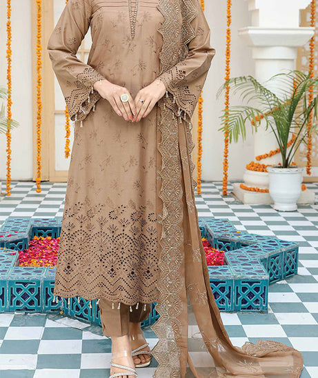 Afreen Chicken Kari Lawn'24 D#2