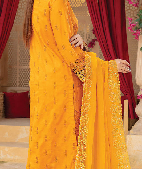 Afreen Emb Lawn`25 (V # 4)  D # 01