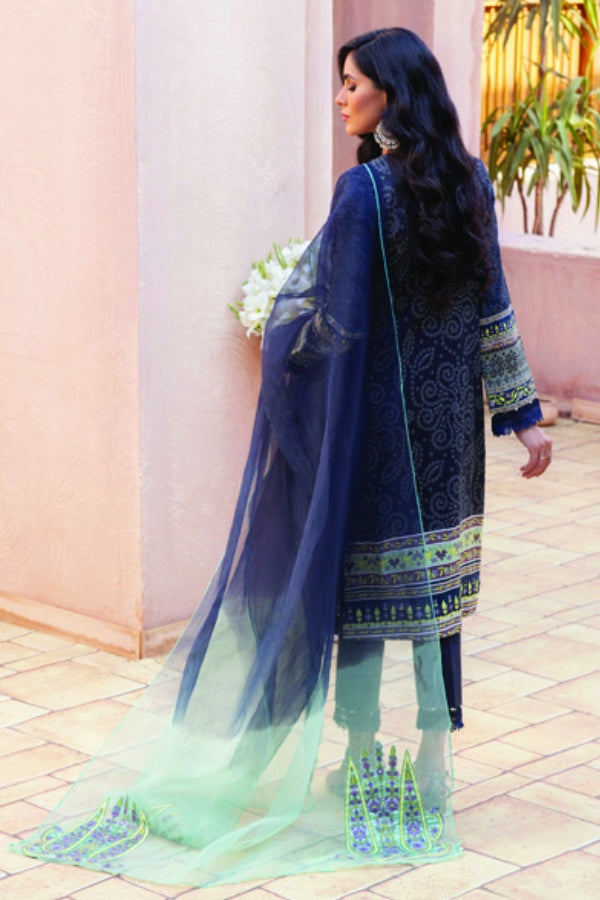 Al Zohaib Festive Hues`21 (Vol-2) D#10