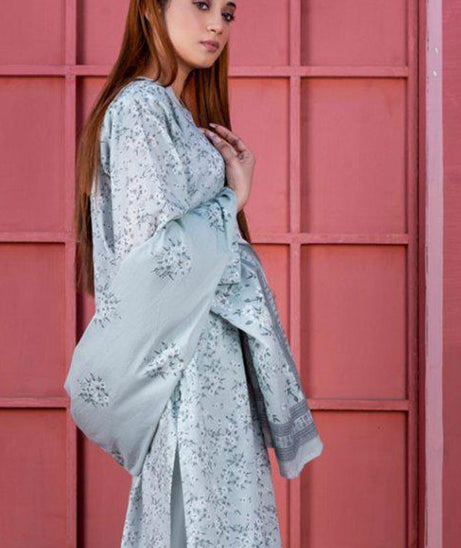 Alishba D/Print Lawn`25 D#358 (G Grey)