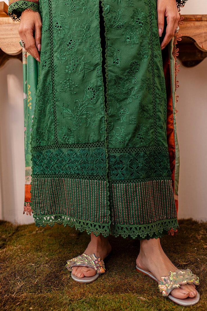 Zoya & Fatima Aman L/Lawn`24 (AMAL)