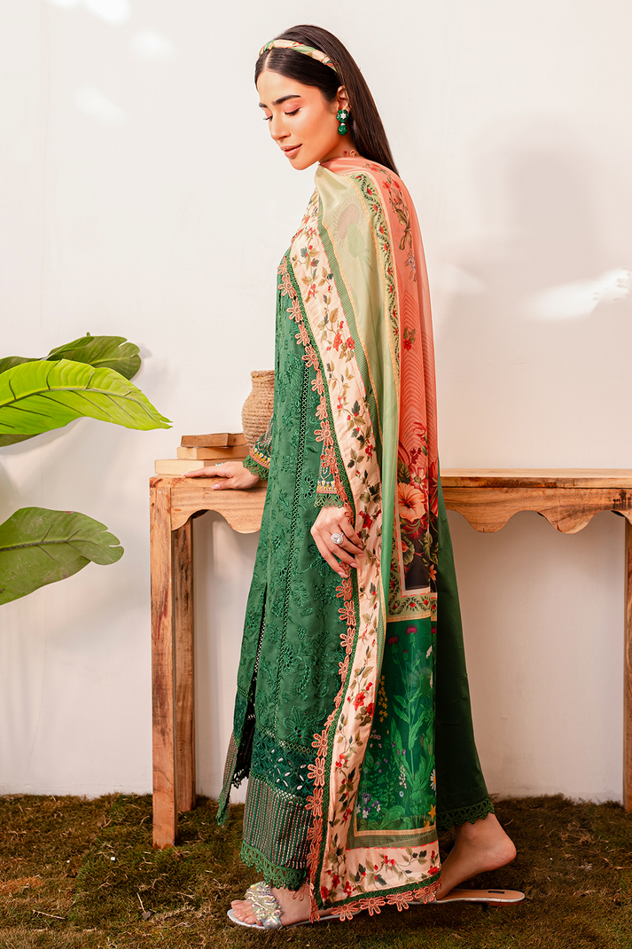 Zoya & Fatima Aman L/Lawn`24 (AMAL)