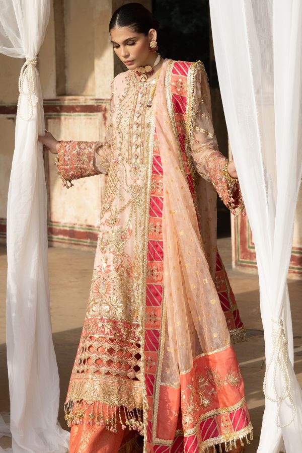 Anaya Opulence Chiffon`21 AC#2
