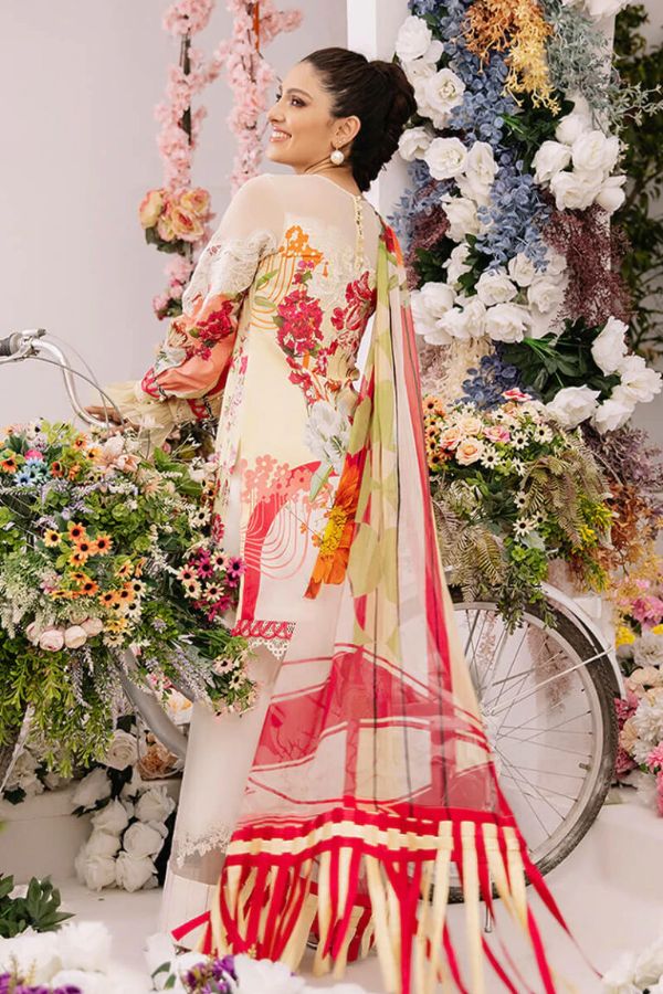 Asifa &amp; Nabeel Ariana Lawn'21 AR#4-B