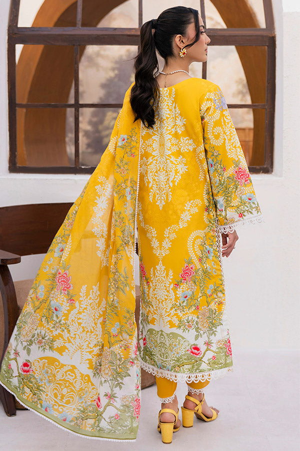 Asifa Yakin Lawn`26 YBA#09