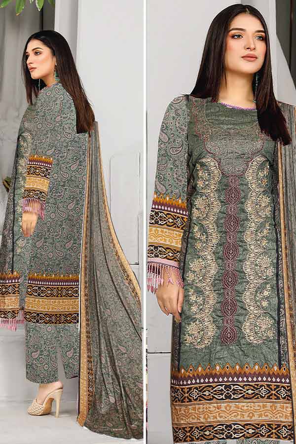 Ayesha Mohsin Premium Lawn`23 AM#06