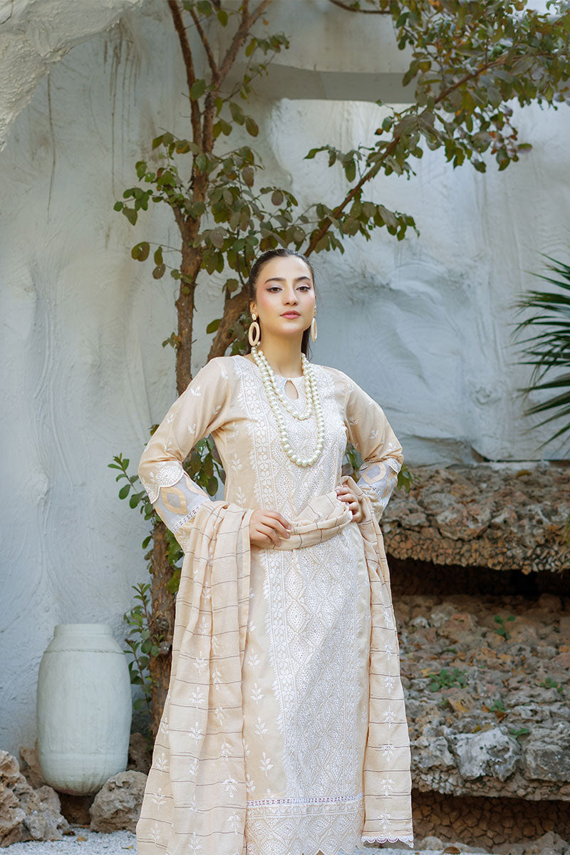 Banafsheh C/Kari Luxury Lawn'25 D#303