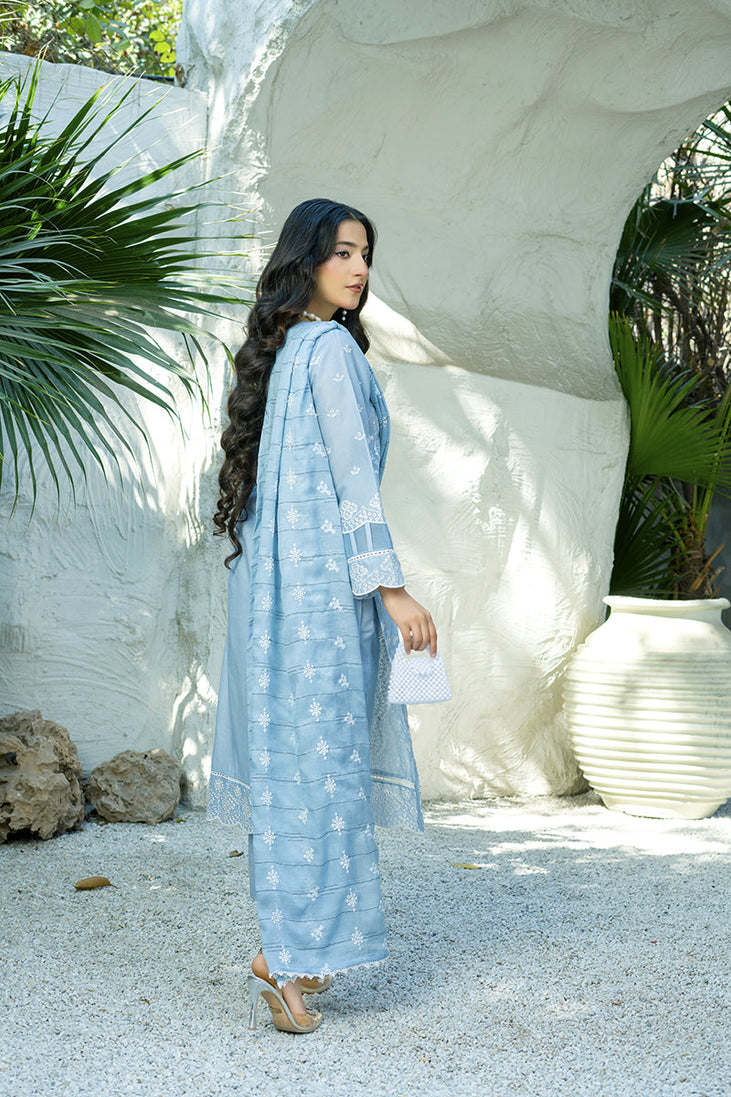 Banafsheh C/Kari Luxury Lawn'25 D#304