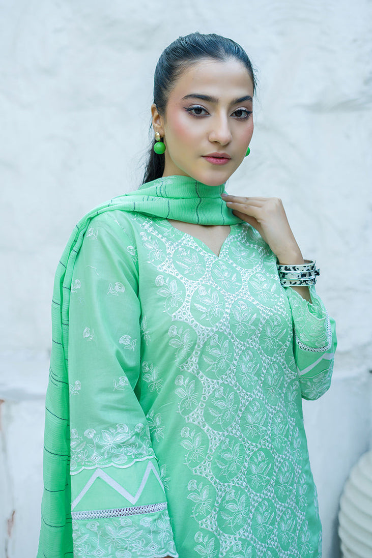 Banafsheh C/Kari Luxury Lawn'25 D#307