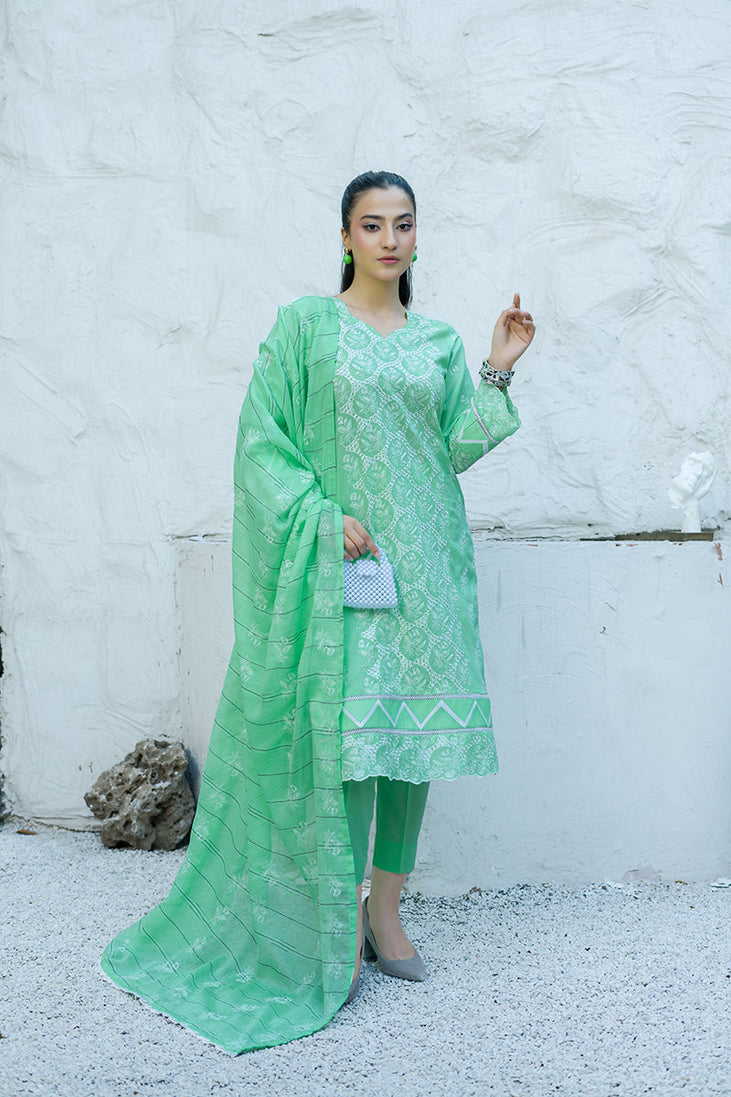 Banafsheh C/Kari Luxury Lawn'25 D#307