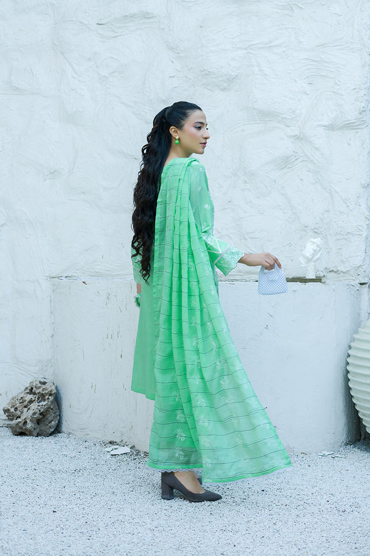 Banafsheh C/Kari Luxury Lawn'25 D#307