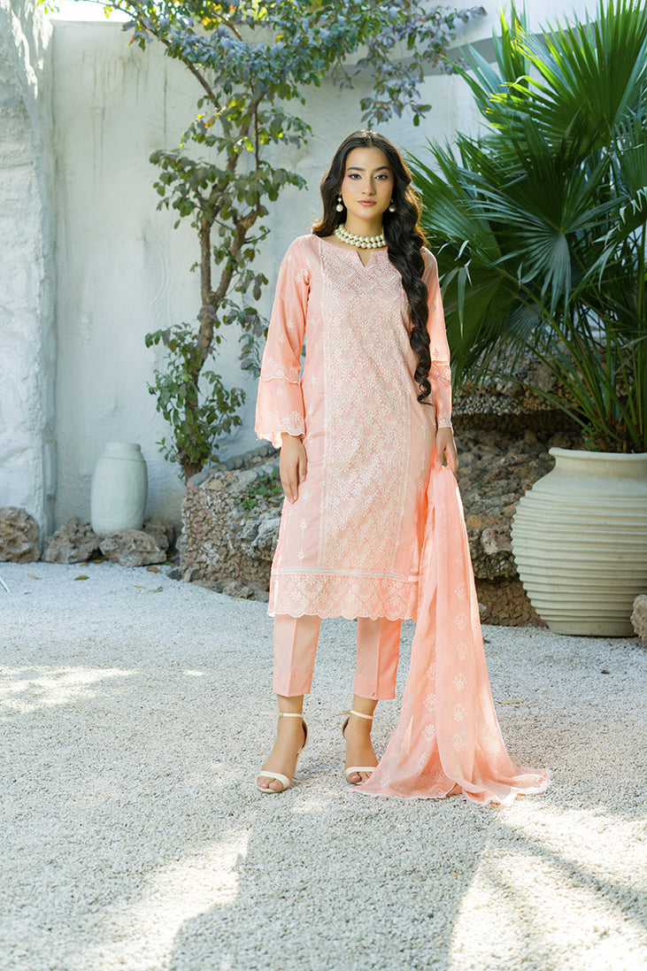 Banafsheh C/Kari Luxury Lawn'25 D#308