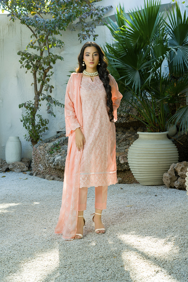 Banafsheh C/Kari Luxury Lawn'25 D#308