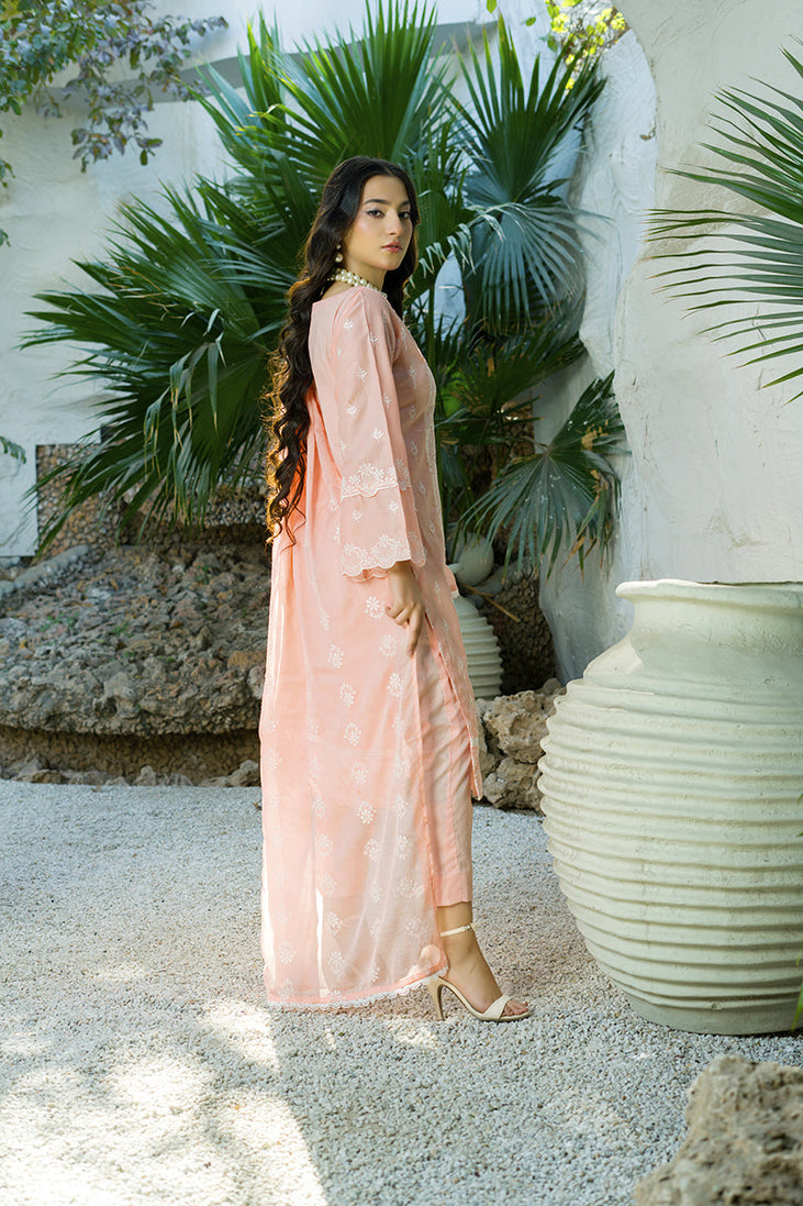 Banafsheh C/Kari Luxury Lawn'25 D#308