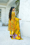 Banafsheh Sarang Lawn`25 BN#314