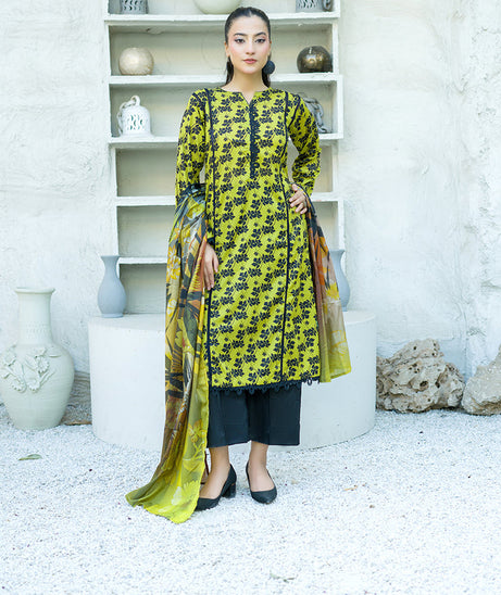 Banafsheh Sarang Lawn`25 BN#315