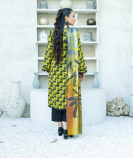 Banafsheh Sarang Lawn`25 BN#315