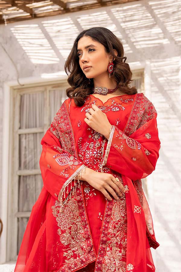 BR Shehnai Fancy Emb Organza`24 D#05