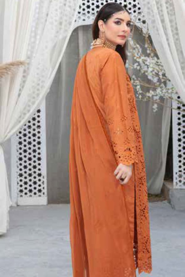 BR Afsanay C-Kari Lawn'24 D#07