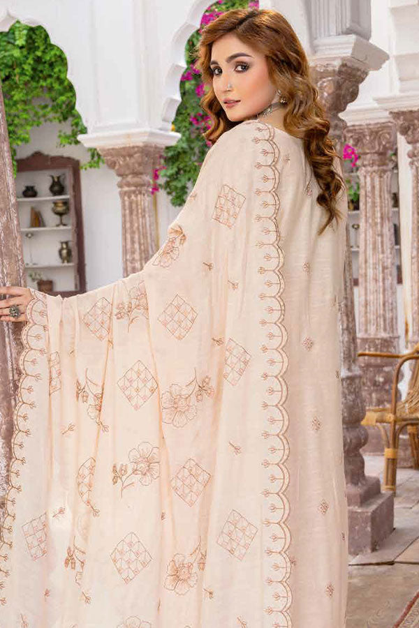 BR Aghaz-E-Nau Karandi'24 D#3
