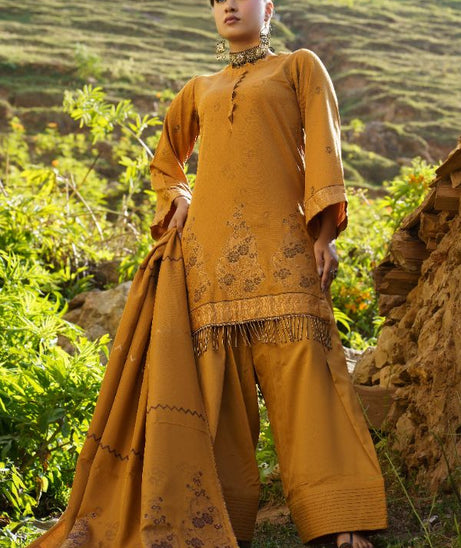 BR Anarkali J-Viscose`25 D#10