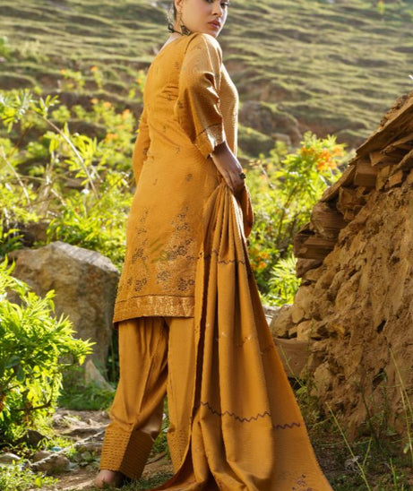 BR Anarkali J-Viscose`25 D#10