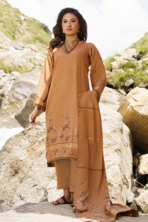 BR Anarkali J-Viscose`25 D#02