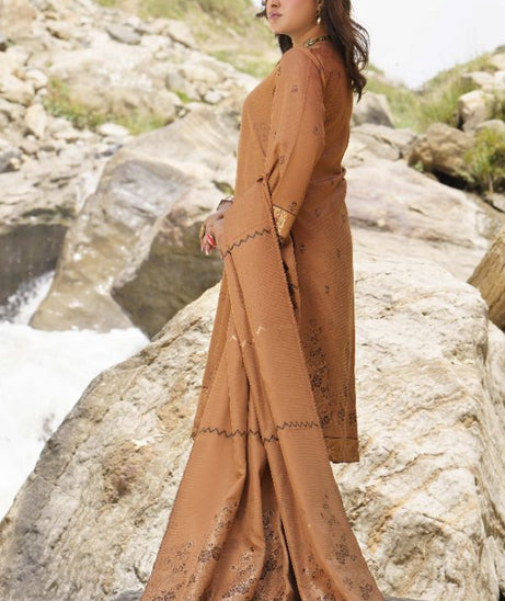 BR Anarkali J-Viscose`25 D#02