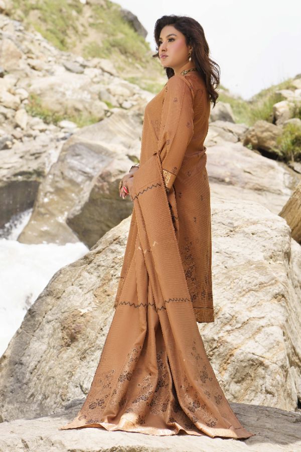 BR Anarkali J-Viscose`25 D#02