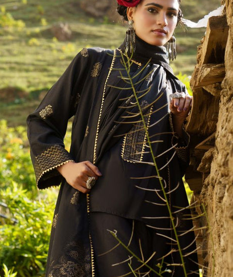 BR Anarkali J-Viscose`25 D#06