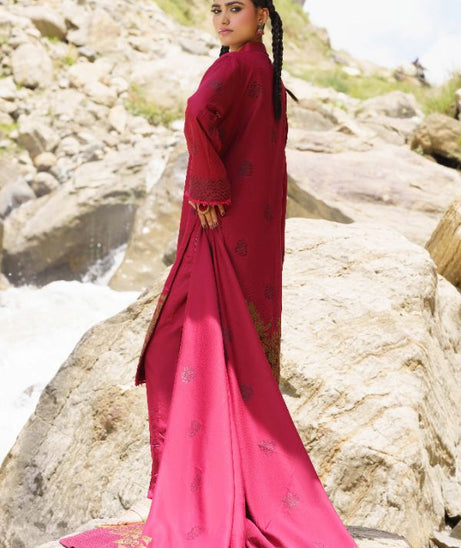 BR Anarkali J-Viscose`25 D#07