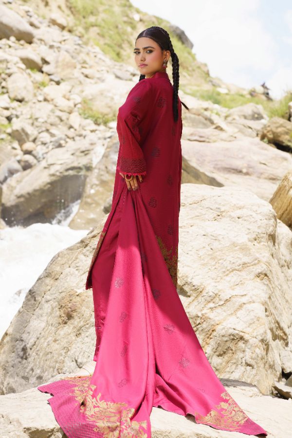 BR Anarkali J-Viscose`25 D#07