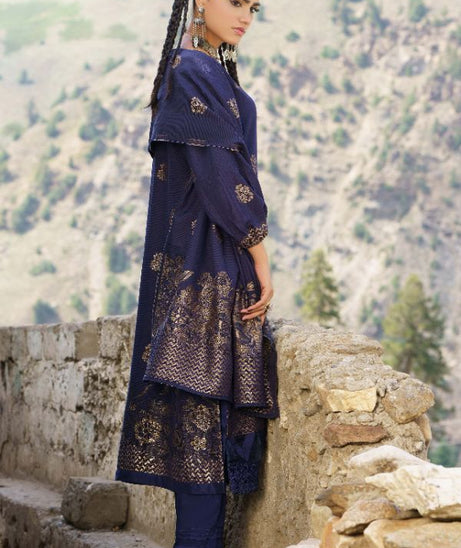 BR Anarkali J-Viscose`25 D#09