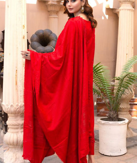 BR Taqdeer Dhanak Zari Shawl`24 D#02