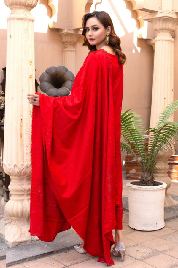 BR Taqdeer Dhanak Zari Shawl`24 D#02