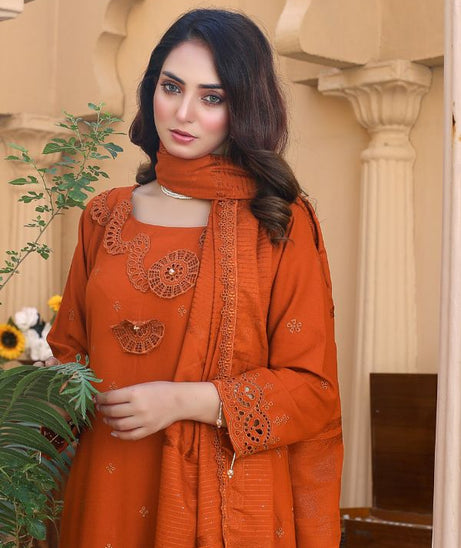 BR Taqdeer Dhanak Zari Shawl`24 D#04