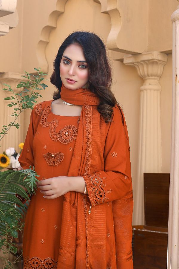 BR Taqdeer Dhanak Zari Shawl`24 D#04