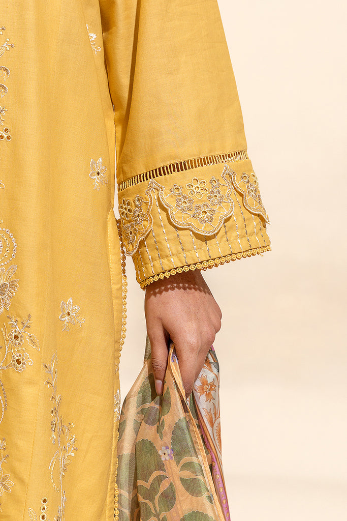 Beech Tree Lawn`24 U#82