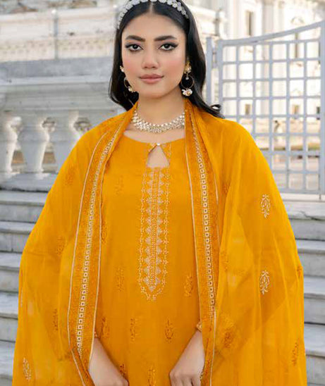 Banafsheh R/Khaas Lawn'24 BNR#117