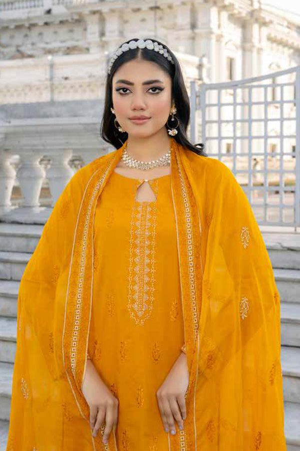 Banafsheh R/Khaas Lawn'24 BNR#117