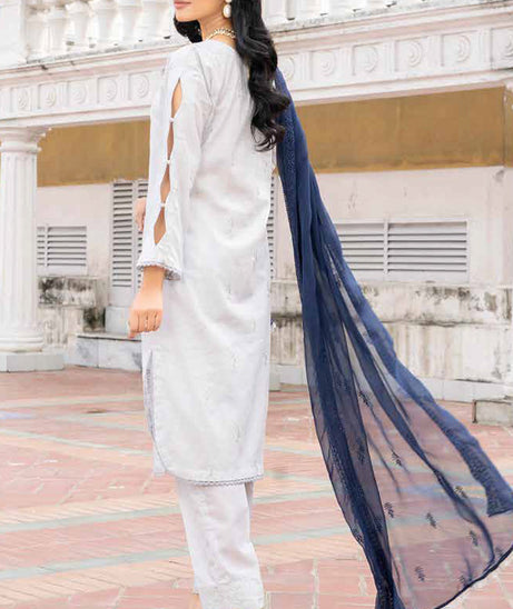 Banafsheh R/Khaas Lawn'24 BNR#118