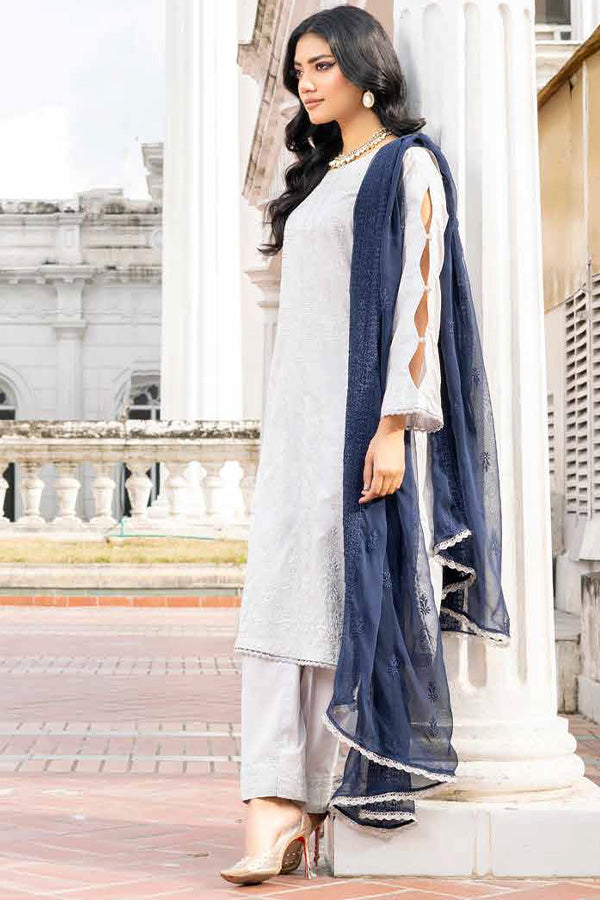 Banafsheh R/Khaas Lawn'24 BNR#118