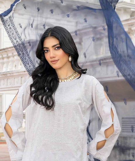 Banafsheh R/Khaas Lawn'24 BNR#118