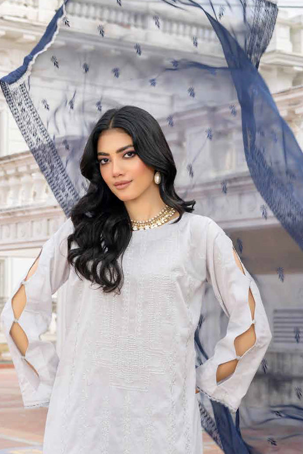 Banafsheh R/Khaas Lawn'24 BNR#118