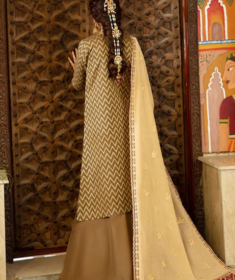 Bin Ilyas Luxury Lawn'22 D2-B