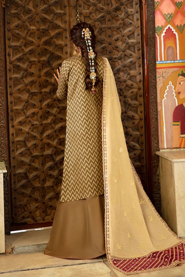 Bin Ilyas Luxury Lawn'22 D2-B