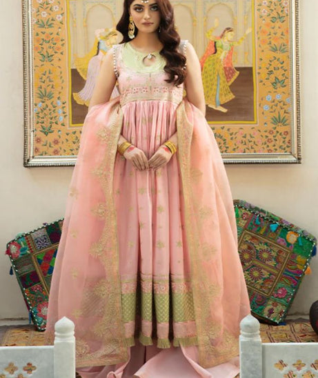 Bin Ilyas Luxury Lawn'22 D3-B