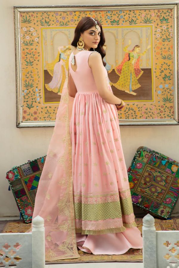 Bin Ilyas Luxury Lawn'22 D3-B