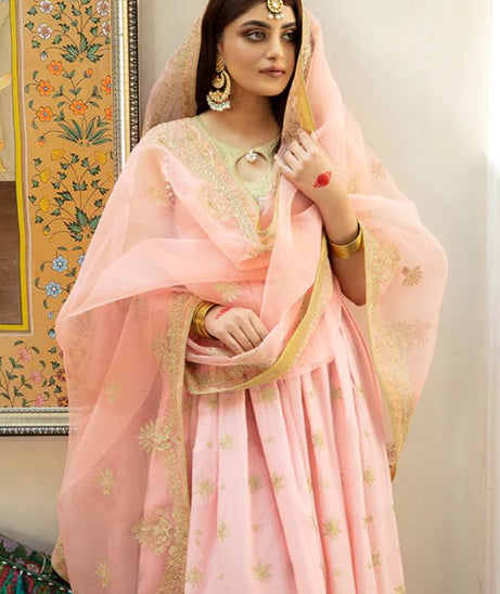 Bin Ilyas Luxury Lawn'22 D3-B